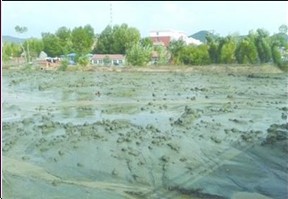 图为青峰山镇金源矿业的5万立方米尾矿灌满河道
